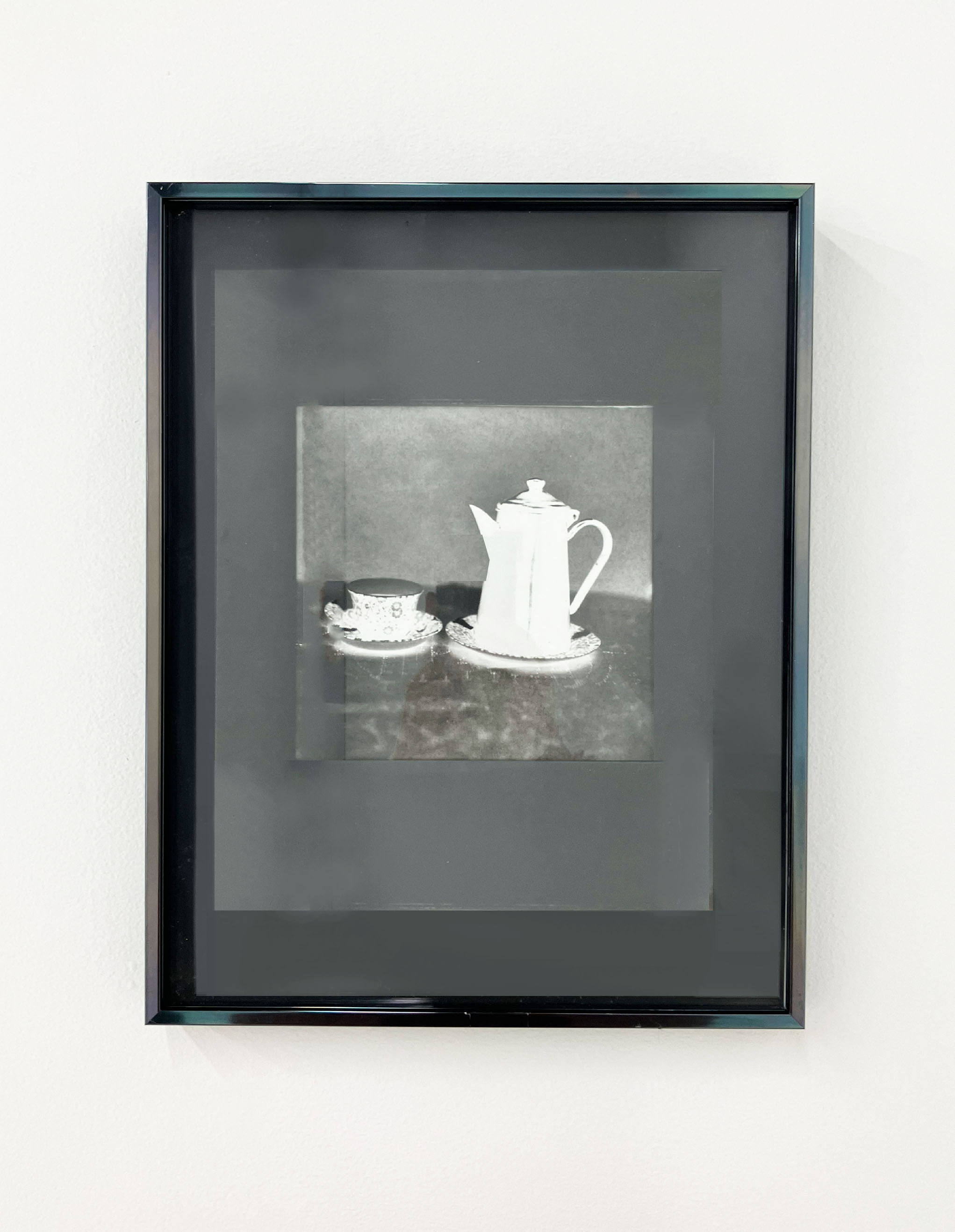 JoanneLeonard.BelleIsleViewingRoom,
